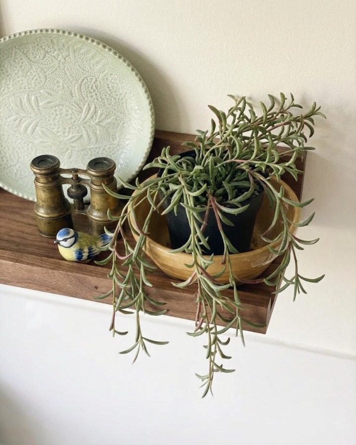 12 Creative Ikea Mosslanda Ideas to Transform Your Walls